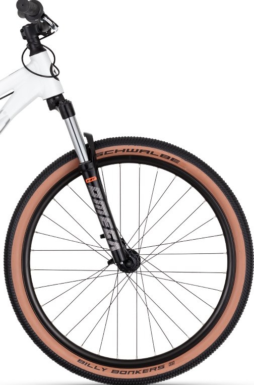 Na sketpark i rampy, pumptrack Rower Dirt Kellys Whip 30
