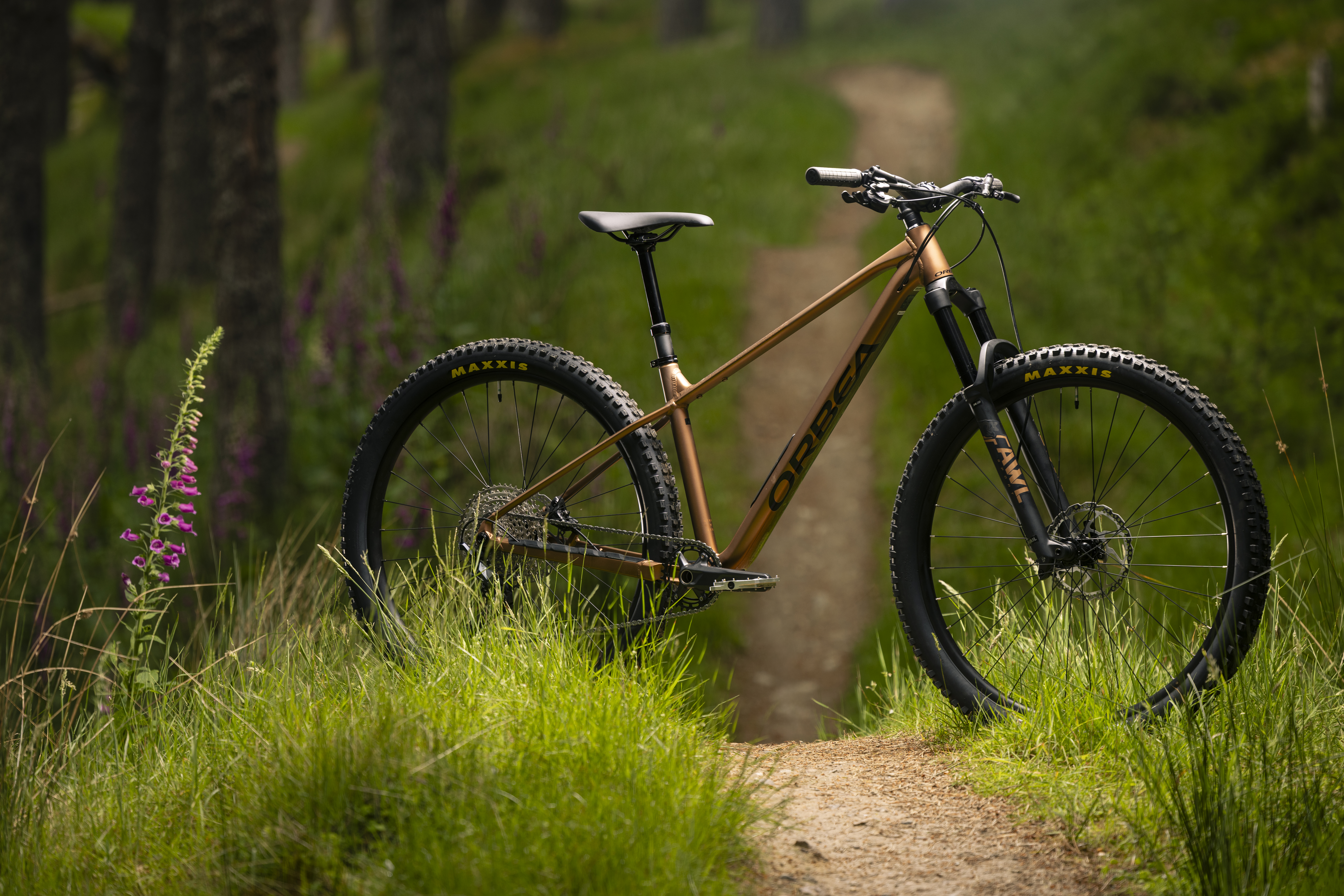Orbea Laufey H10 - w swoim naturalnym środowisku, zdjęcie poglądowe może przedstawiać inny model z serii