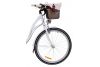 Rower miejski Dutch Goose Pure 3B