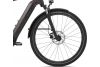 Rower elektryczny trekkingowy GIANT ANYTOUR E+ 3 GTS
