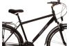 Rower trekkingowy męski Goetze Gemini 28