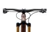 Rower-górski-Giant-Reign-Advanced-Pro-0-10