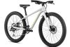 Rower dziecięcy Orbea MX 24 Team 2024 Silver lime