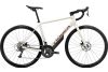 Rower szosowy wygodny Endurance Orbea AVANT H60