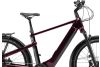 Rower elektryczny trekkingowy Winora Yakun X10E 3