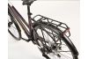 Rower trekkingowy damski Winora Domingo X20 Lady