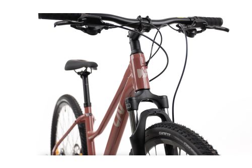 Rower crossowy damski Giant Liv Rove 4 5