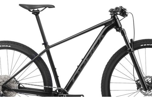 Rower górski Orbea Onna 29 10 w 100% gotowy