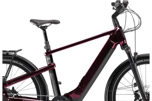 Rower elektryczny trekkingowy Winora Yakun X10E 3