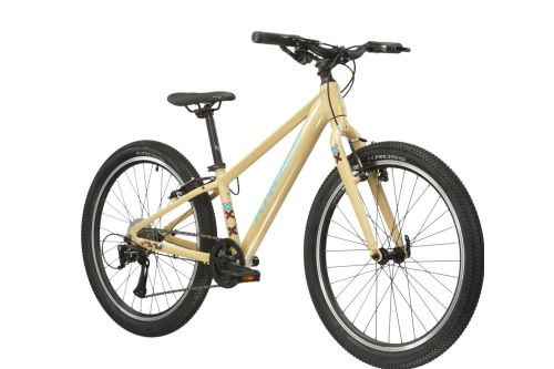 Rower młodzieżowy Kross Level JR 1.0 24 + GRATIS